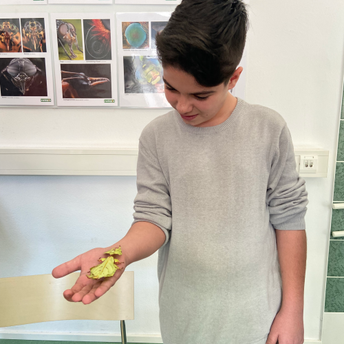 Insektenforscher Matthias