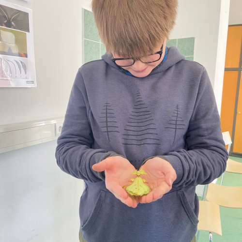 Insektenforscher Elias