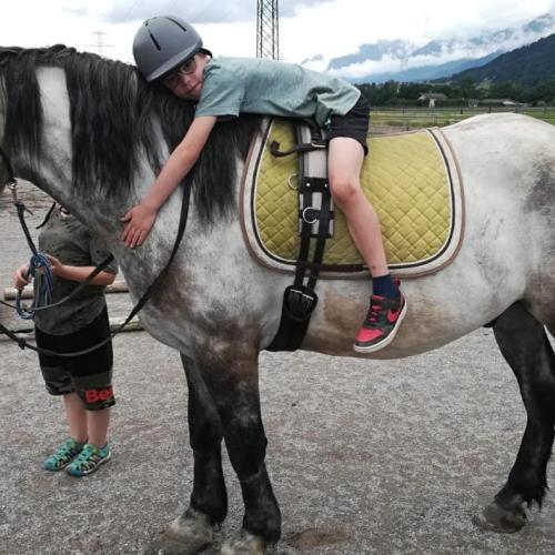 Bewegung und Sport am Pferdehof