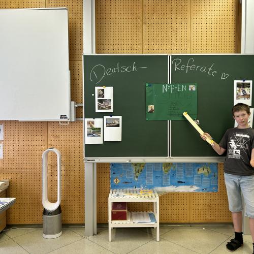 Referat: Nymphensittich