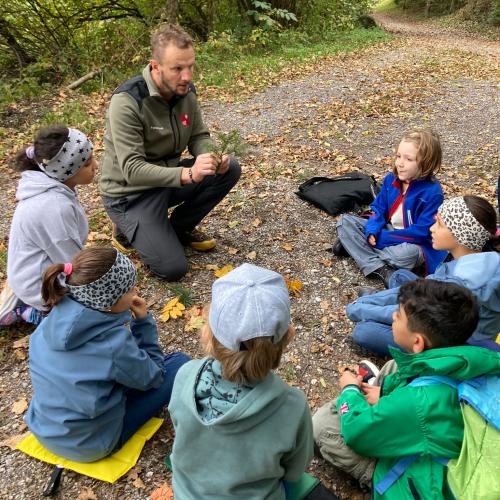 Ab in den Wald!