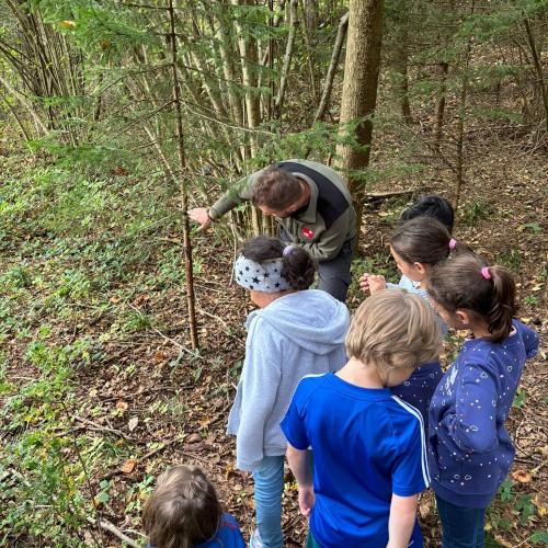Ab in den Wald!