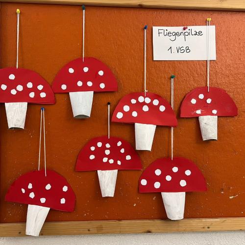 Fliegenpilze 1.VSB