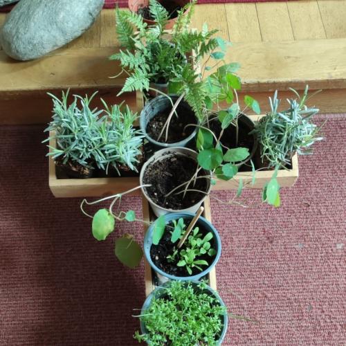 Vorösterlicher Gottesdienst