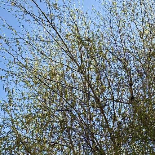 Eindrücke aus dem Schulgarten