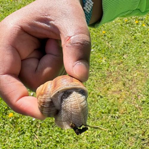 Eindrücke aus dem Schulgarten
