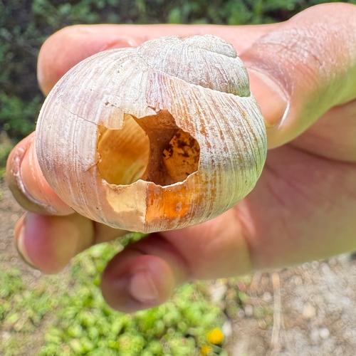 Eindrücke aus dem Schulgarten