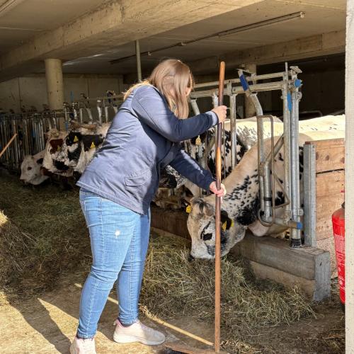 Besuch am Bauernhof
