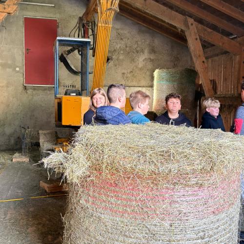 Besuch am Bauernhof