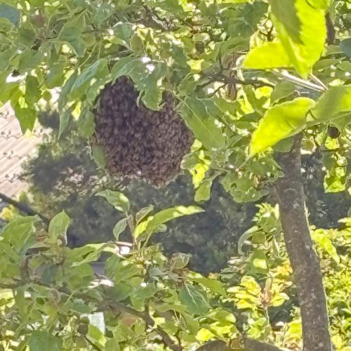 Besuch am Bauernhof