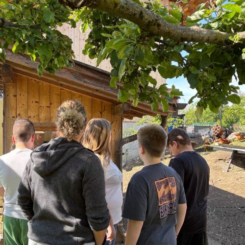 Besuch am Bauernhof
