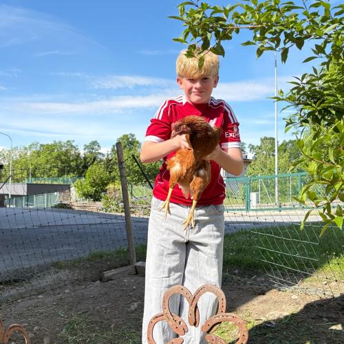 Besuch am Bauernhof