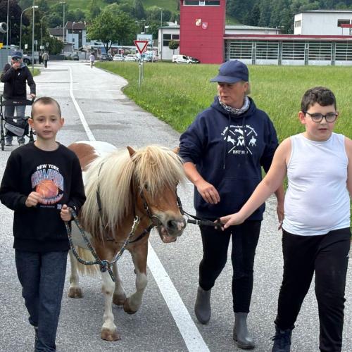 Reiten in Volders