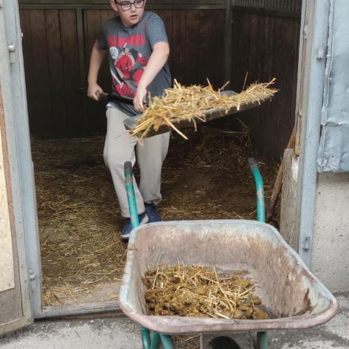 Reiten in Volders