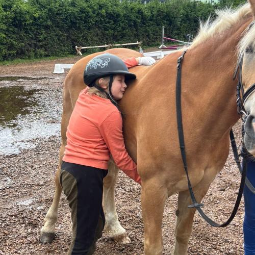 Reiten in Volders