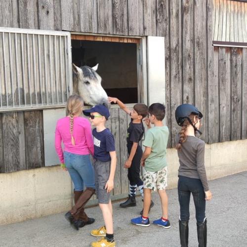 Reiten in Volders