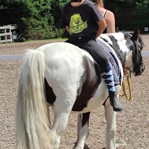 Reiten in Volders