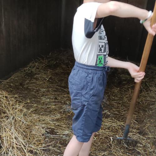 Reiten in Volders