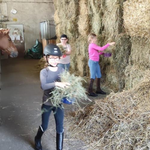 Reiten in Volders