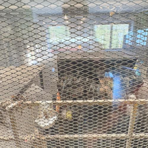 Im Recycling Zentrum Ahrental 