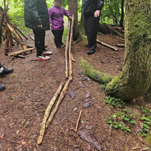 Wald-Exkursion 