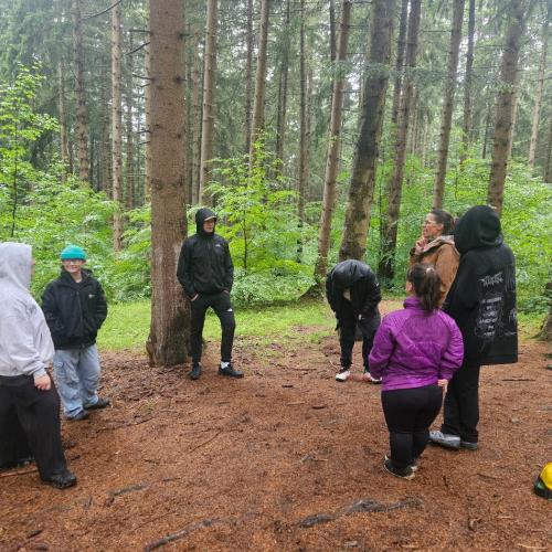Wald-Exkursion 