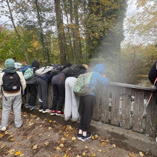 Dem Biber auf der Spur
