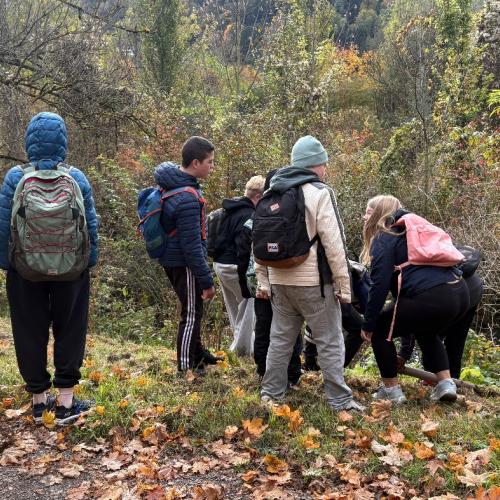 Dem Biber auf der Spur