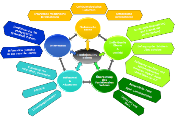 Modell zur Einschätzung des Funktionalen Sehens (Modifiziert nach Henriksen und Laemers, 2016)