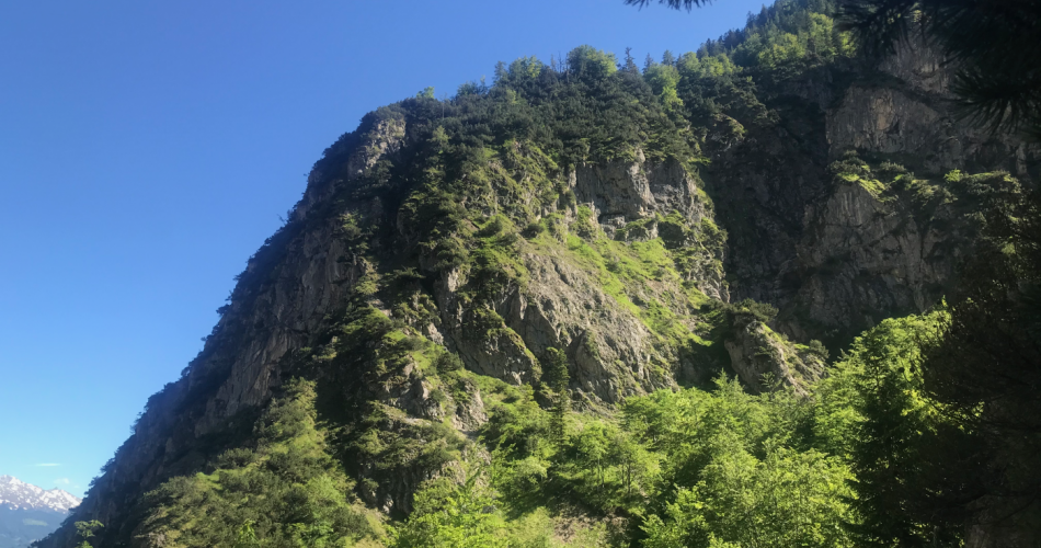 Halltal