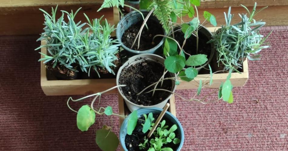 Vorösterlicher Gottesdienst